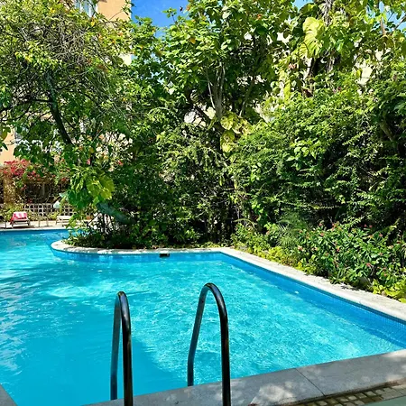 Apartamento Calamari Homes - Centenario 304 - Walled